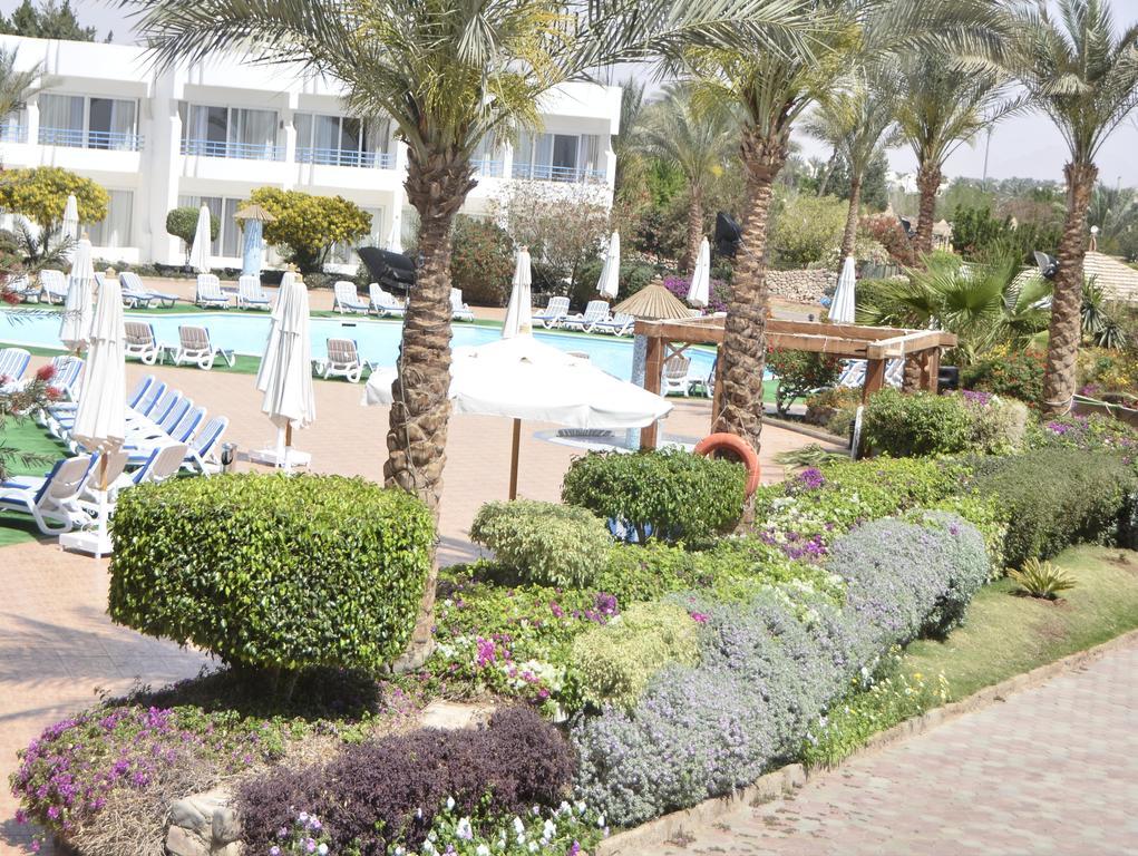 Queen Sharm Aqua Park Hotel Exterior photo